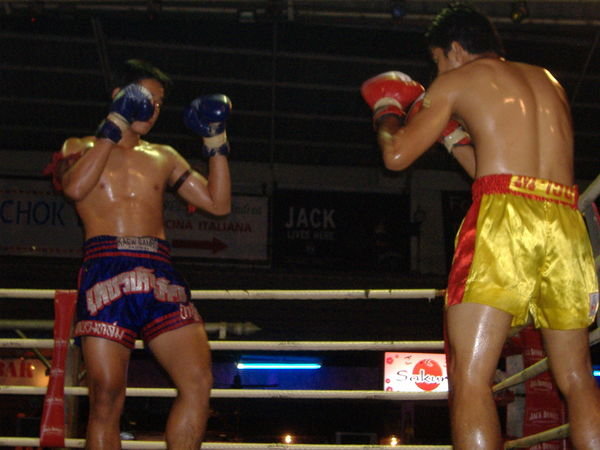 Thai boxing - it's brutal!!