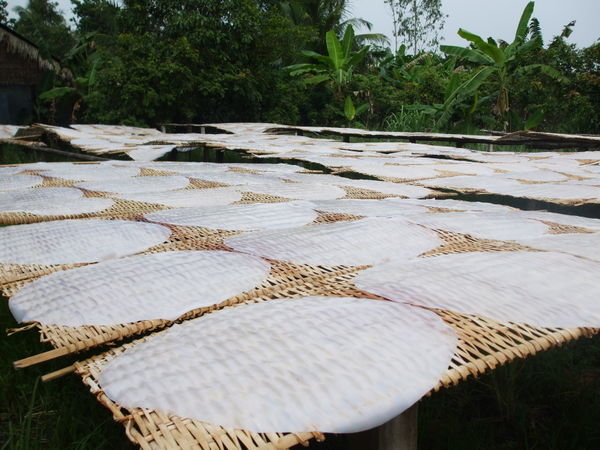Rice paper drying in the sunshine - apparently if it gets wet it gets ruined