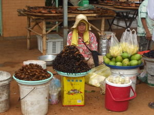 On the way to Kampong Cham the bus stopped at Skuon, famous for its deep fried spiders