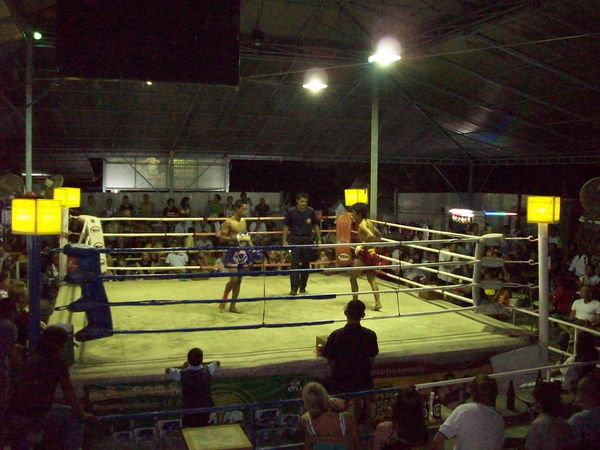 thai boxing