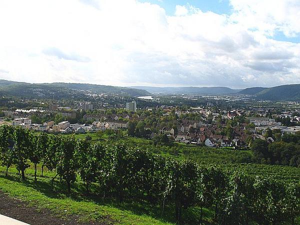 View of the Mosel River Valley