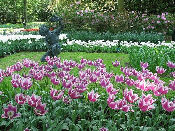 Tulips and works of art