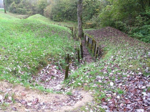Remnants of the Trenches