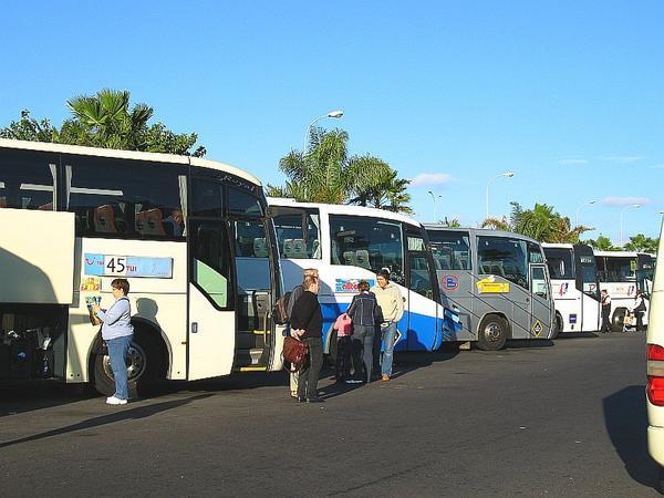 Buses Awaiting the Hordes