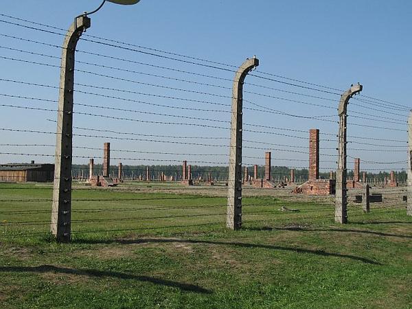 Birkenau - What Remains