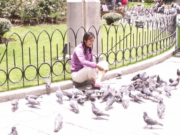 Kate, Playing with birds
