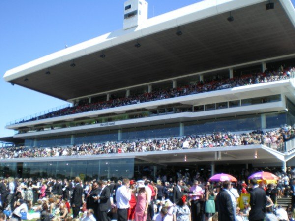 The Grand Stand 1