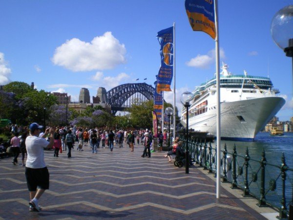 The Harbour Bridge 2