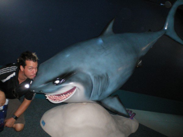 Me & Brucy At the sydney Aquarium