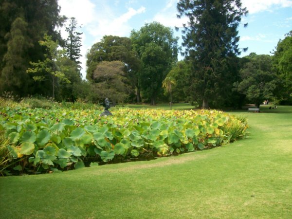 Botanical garden 1