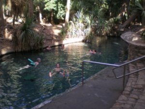 Mataranka Hot Springs 2