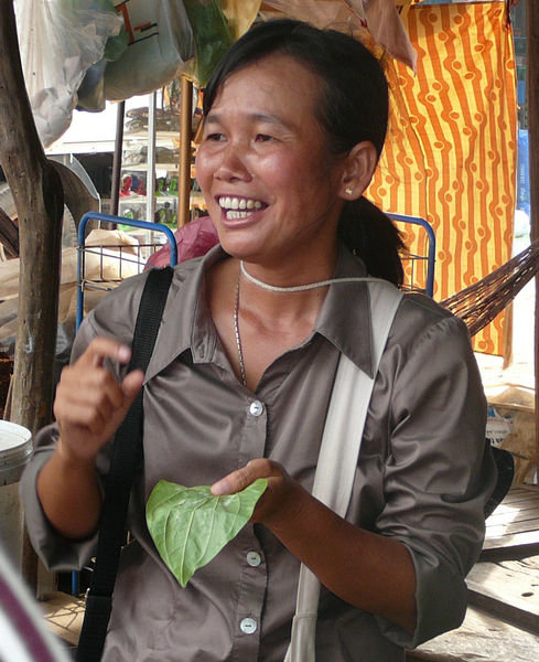 Our guide, Phali. explaining how old women use betel nut