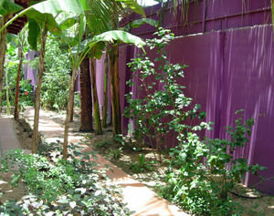 The view from the front door of our "Garden Bungalow" at Villa Siem Reap