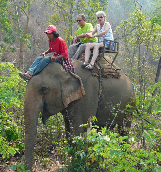 Mom and Steve on their elephant