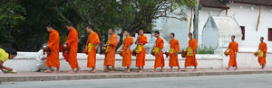 Monks in the morning