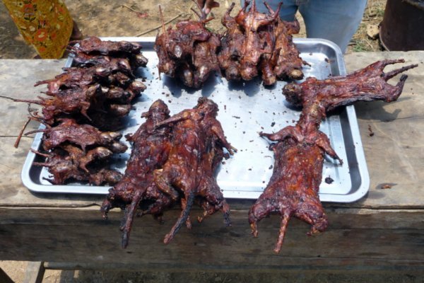 BBQ rats, in 3 sizes (50 cents for the big ones!)
