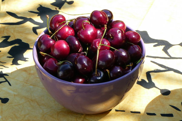 Life is just a bowl of cherries