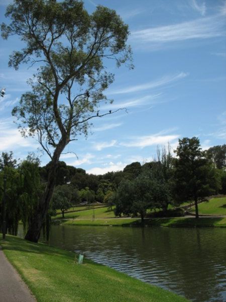 Parkland surrounding Adelaide