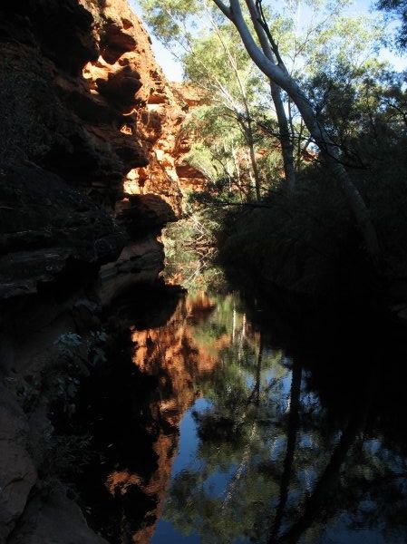Water hole in Kings canyon
