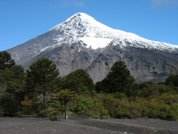 Lanin Volcano between the Chile and Argentina border | Photo