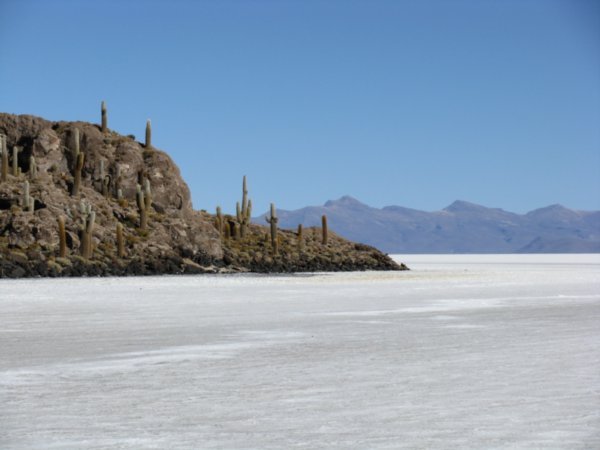 Island in the middle of the Salt Flats