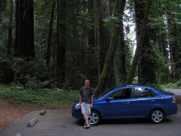 Dwarfed in the Avenue of the Giants