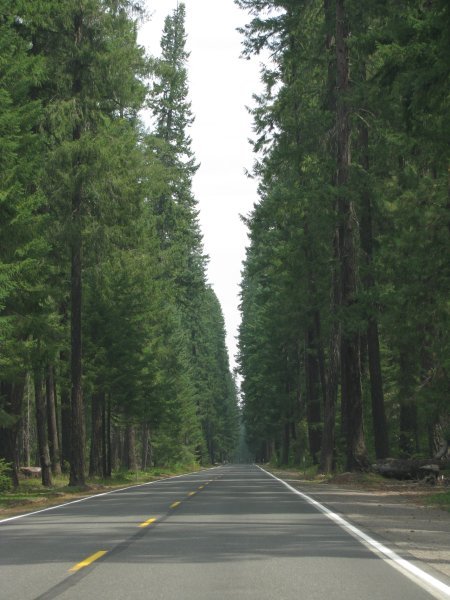 The drive in Oregon