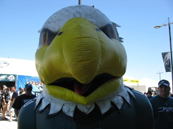 Swoop, the Eagles mascot