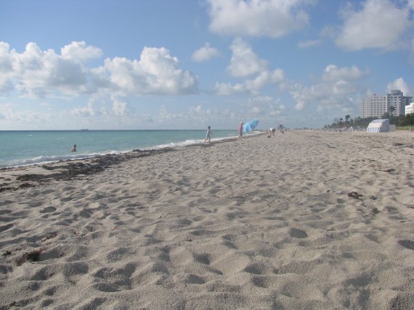 The gorgeous Miami Beach