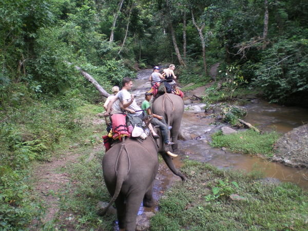 Elephant Riding 2