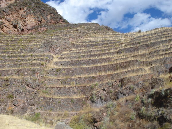 Inca terrecing at Pisac