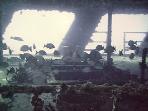 C58 Shipwreck