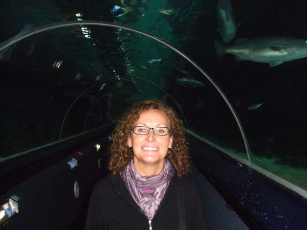Aquarium in Auckland