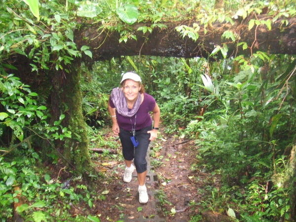 Trekking through the Cloudforest