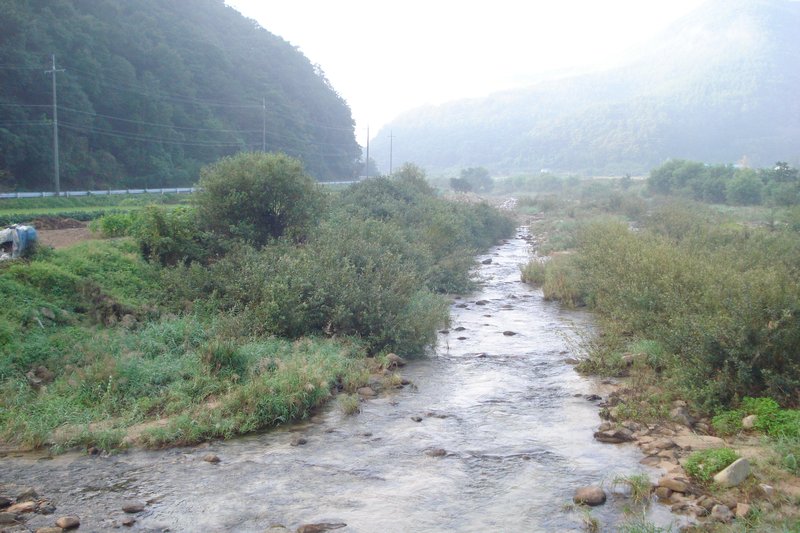 a valley stream 