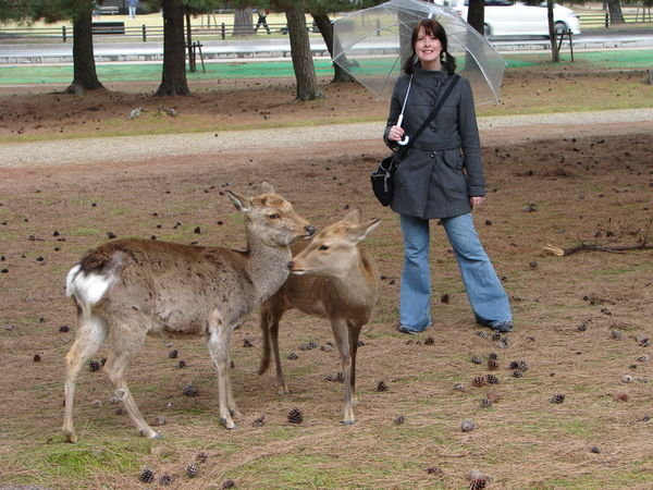 Me and some deers