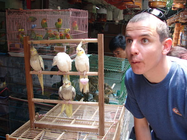 Dan at the Bird Market!
