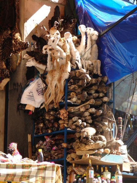 Dead Llama´s and Llama foetuses in La Paz Witches Market