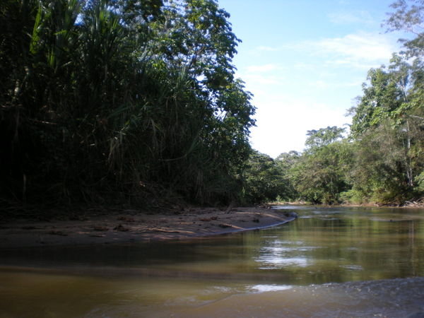 The Shiripuno river