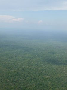 The Jungle - Taken from the plane on route to Leticia