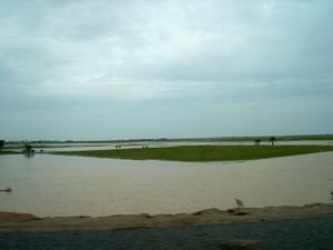 Mekong River floodplain_2