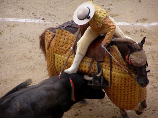 Picador stabbing the bull
