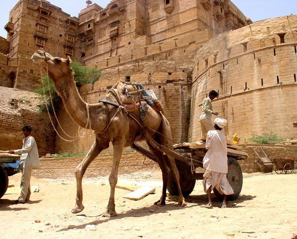 Camel cart outside fort, Jaisalmer