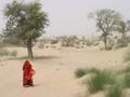 Local lady walking on the desert, Thar Desert