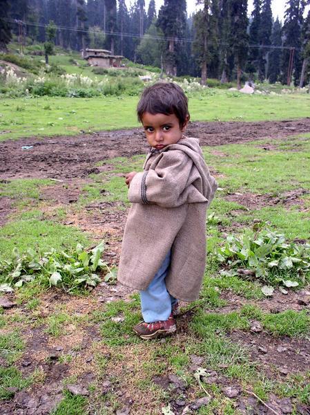 Cute kid we spotted going down the mountain, Gulmarg
