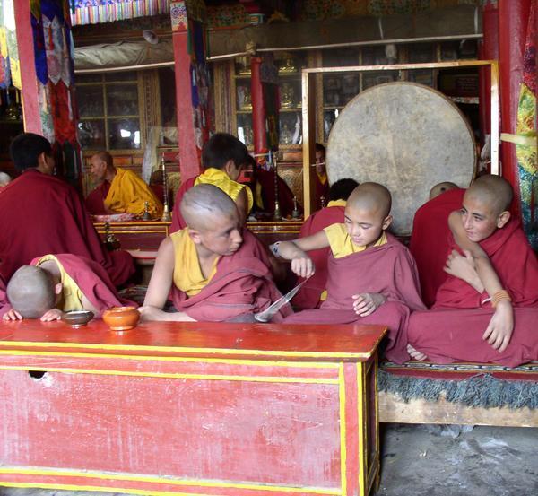 Novice monks at the special puja, Lamaruyu