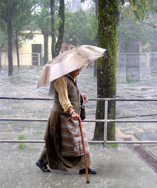 Local tried not to get soaked by the rain at the Namgyal Monastery, Mc Leodganj