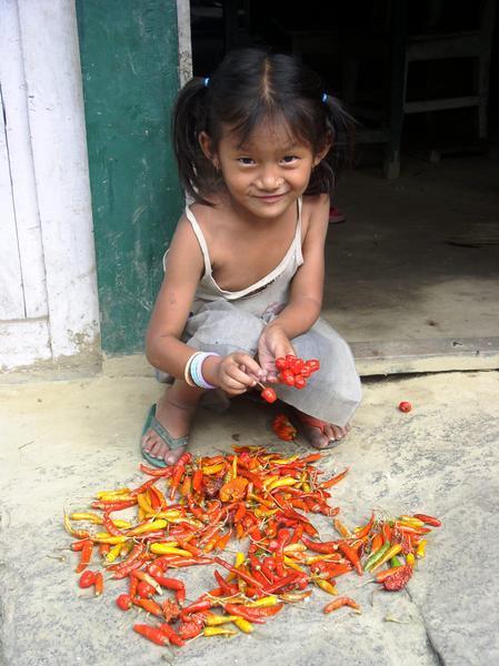 Local girl cleaning some red peppers, shot en route to Syanje, Annapurna Region, Nepal