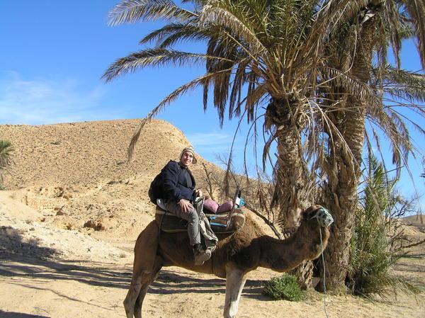 Camel trip en route to El Haddej