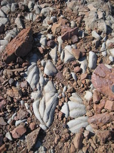 Some of the incredible rocks along the hike